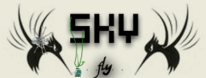 SKY..fly..