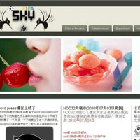 wordpress之主题Revolution Office的配置和使用