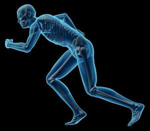 肌肉过度发达不利于健康