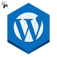 欣赏21个国外的顶尖图片相册类wordpress主题