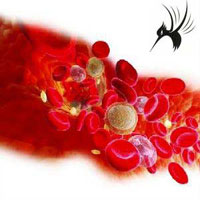 临床输血技术规范及基本原则