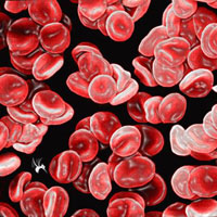 血液科化疗中的CF和MTX