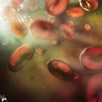 热溶血试验介绍