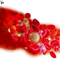 高渗冷溶血试验