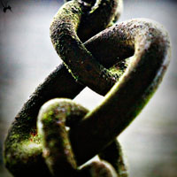 3个支持图片外链的速度稳定的免费相册