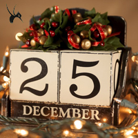 圣诞节，Merry Christmas之flash备用新logo