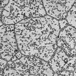 激光共聚焦的前期步骤