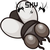 苍蝇一分钟的生命