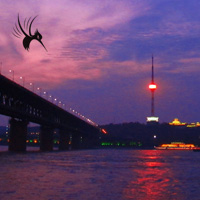 2016年武汉市大桥、隧道单双号限行规定