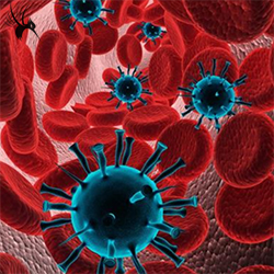 系统免疫炎症指数（Systemic immune-inflammation index，SII）