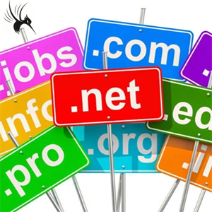 心仪超级域名注册方法